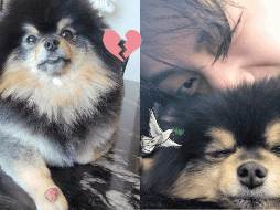 BTS, V y sus fans ARMY recordarán con cariño a Yeontan tras su fallecimiento. IG / @thv