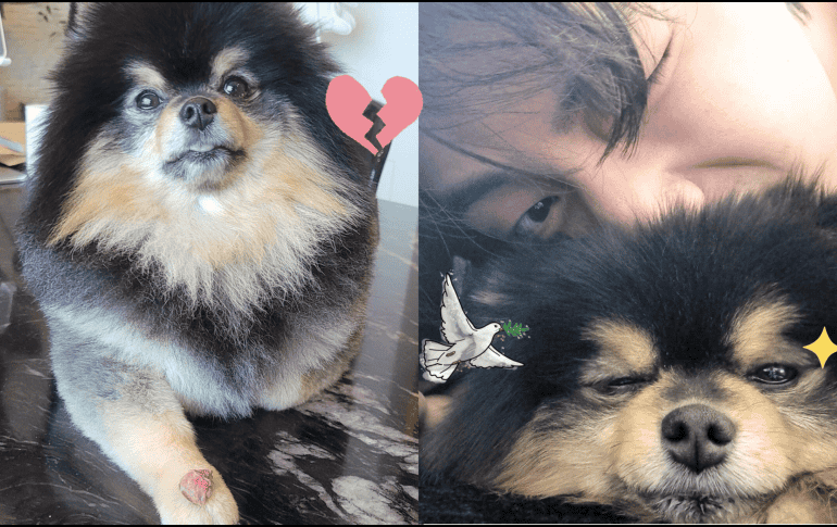 BTS, V y sus fans ARMY recordarán con cariño a Yeontan tras su fallecimiento. IG / @thv