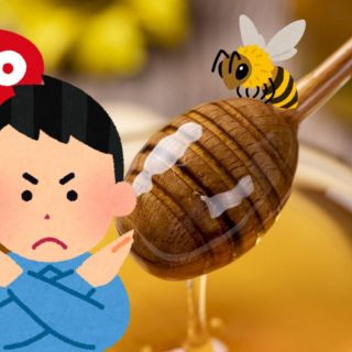 ¿Qué personas no deben consumir miel de abeja?