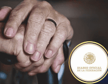 Que las personas mayores de 65 años tendrán derecho a recibir una pensión no contributiva por parte del Estado. Pixabay / CAnva