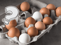 Un huevo cocido con una yema gris verdosa no representa un riesgo para la salud. Este cambio de color es el resultado de una reacción química natural y no afecta significativamente el valor nutritivo del huevo. CANVA