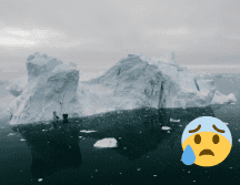 El hielo marino del Ártico ha desaparecido a una velocidad sin precedentes, de más del 12 por ciento cada década. Pexels