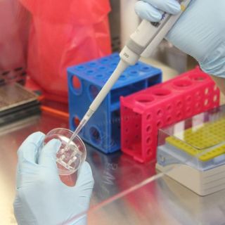 Resguardan material genético en el Zoológico de Chapultepec para inseminación artificial