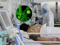 Esta infección si no se trata de manera oportuna y rápida puede incrementar significativamente el riesgo de mortalidad en un paciente grave. SUN / ARCHIVO / ESPECIAL / PEXELS CDC