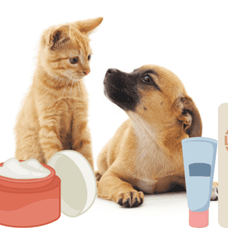 ¿Podemos ponerle crema hidratante a nuestras mascotas?