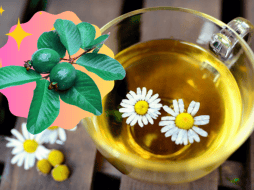 La infusión de manzanilla con hojas de guayaba puede ayudar a controlar los niveles de azúcar en la sangre. ESPECIAL/Imagen de congerdesign en Pixabay