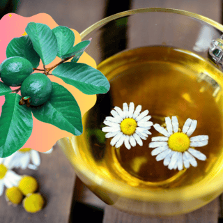 ¿Qué beneficios tiene la hoja de guayaba con manzanilla?