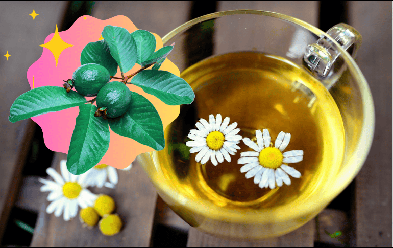 La infusión de manzanilla con hojas de guayaba puede ayudar a controlar los niveles de azúcar en la sangre. ESPECIAL/Imagen de congerdesign en Pixabay