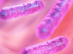 La Secretaría de Salud ha encendido las alarmas tras difundir una alerta epidemiológica por un brote de Klebsiella oxytoca. PIXABAY/IMGMIDI