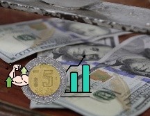 Este es el tipo de cambio de dólar estadounidense a pesos mexicanos en los principales bancos de México. EL INFORMADOR / ARCHIVO