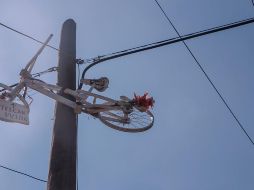 El origen de las bicicletas blancas, conocidas también como 