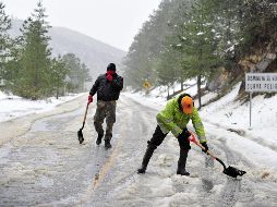 Arteaga, Coahuila, es uno de los lugares donde se cosechan manzanas, y son reconocidos sus paisajes de bosque de pino. EFE / ARCHIVO