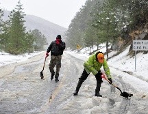 Arteaga, Coahuila, es uno de los lugares donde se cosechan manzanas, y son reconocidos sus paisajes de bosque de pino. EFE / ARCHIVO