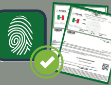 Es importante mantenerse informado sobre las posibles actualizaciones necesarias para asegurar que el documento cumpla con los estándares más recientes de seguridad y funcionalidad. Gobierno de México