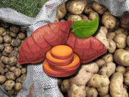 Ambos alimentos pueden formar parte de una alimentación saludable. AFP / ARCHIVO