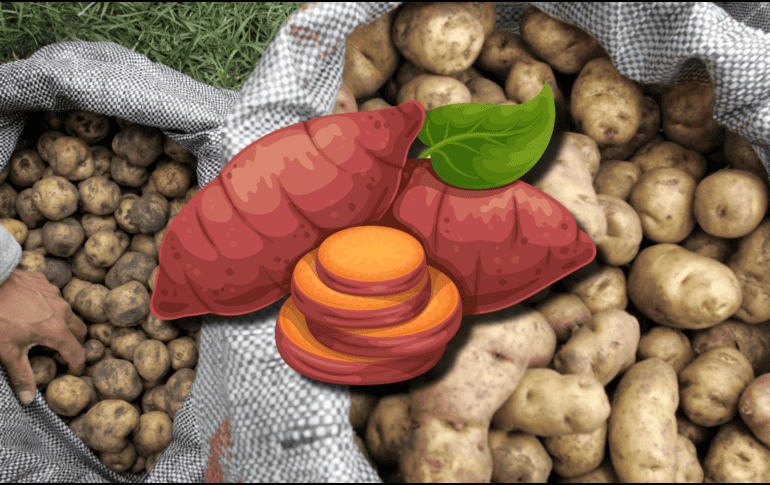 Ambos alimentos pueden formar parte de una alimentación saludable. AFP / ARCHIVO