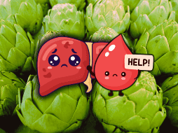 El hígado graso no alcohólico es un problema hepático que afecta a personas que beben poco o nada de alcohol, pero tienen mucha acumulación de grasa en este órgano. EL INFORMADOR / ARCHIVO