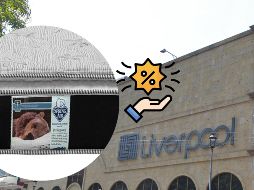 Aprovecha estos grandes descuentos en colchones en Liverpool. EL INFORMADOR / ARCHIVO