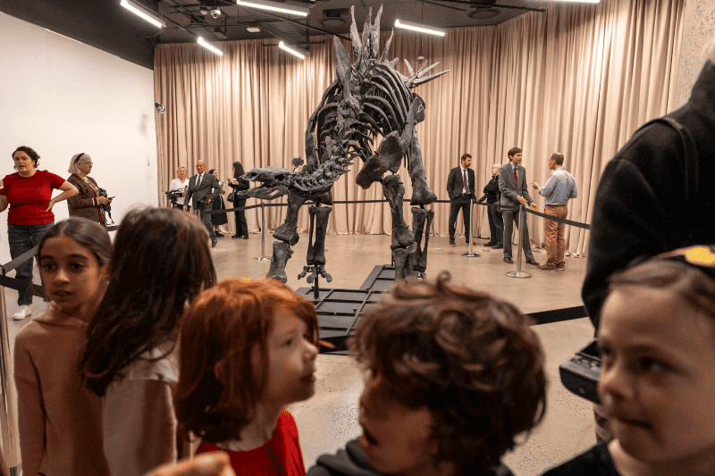 El fósil de este dinosaurio está exhibido en el Museo Americano de Historia Natural (AMNH) en Nueva York. EFE / Ángel Colmenares