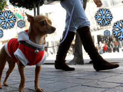 La temperatura mínima que se espera para este viernes y el fin de semana oscilará en los 10 °C, y las máximas tendrán un ligero descenso, hasta llegar a los 27 °C. EL INFORMADOR / ARCHIVO