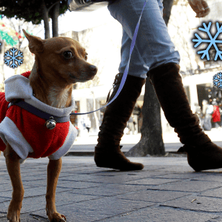 Así viene el frío para los próximos días en Guadalajara
