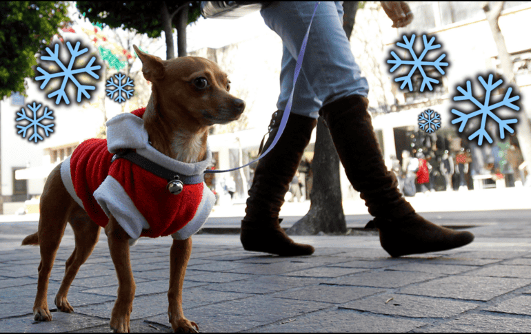 La temperatura mínima que se espera para este viernes y el fin de semana oscilará en los 10 °C, y las máximas tendrán un ligero descenso, hasta llegar a los 27 °C. EL INFORMADOR / ARCHIVO