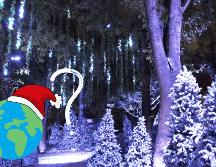 Así celebran navidad en otras partes del mundo. EL INFORMADOR / ARCHIVO