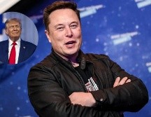 Musk estará al frente del nuevo Departamento de Eficiencia Gubernamental. EFE / ARCHIVO