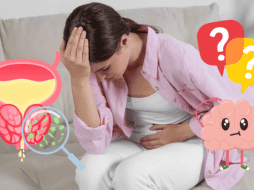 Los casos de infecciones urinarias suelen presentarse con más recurrencia en México durante la temporada de invierno y el principio de la primavera (entre diciembre y abril). ESPECIAL/ CANVA