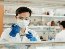 La gripe aviar es una enfermedad infecciosa que afecta a las aves. Pexels