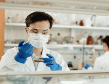La gripe aviar es una enfermedad infecciosa que afecta a las aves. Pexels
