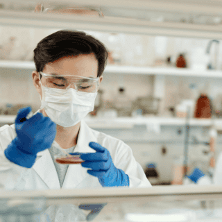 Una mutación podría transmitir el virus de la gripe aviar a los humanos