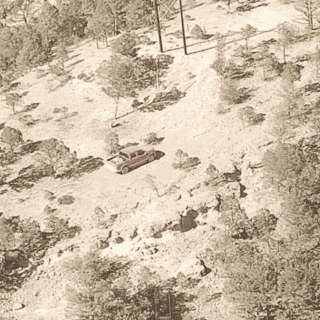 Desmantelan presunto campamento criminal en Chihuahua