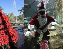 Visita el Zoológico Guadalajara en temporada decembrina; estas son las actividades que podrás disfrutar. ESPECIAL