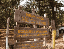 El Bosque La Primavera es perfecto para desconectar de la rutina y disfrutar de la naturaleza. CORTESÍA / Turismo Zapopan