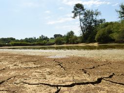 En 2023, el fenómeno 