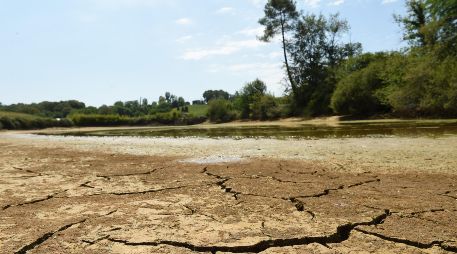 En 2023, el fenómeno 