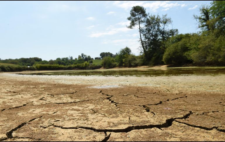 En 2023, el fenómeno 