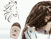 Mientras la ciencia desacredita los supuestos milagros del shampoo de caballo, su fama sigue alimentándose por las opiniones de las y los consumidores. UNSPLASH / E. Larregui