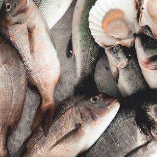 El pescado milagroso que puede salvar tu vida y beneficia al corazón