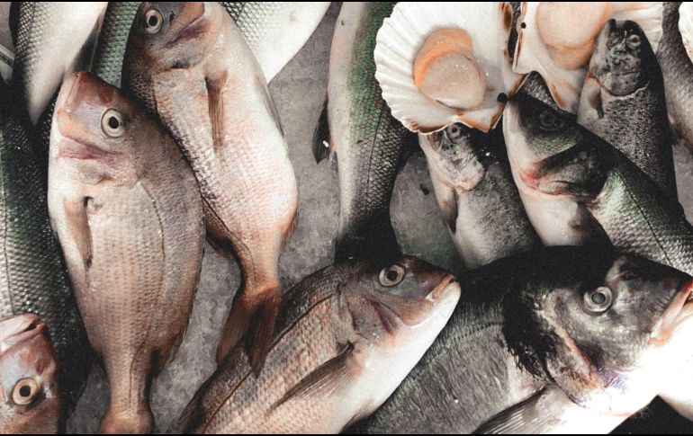 Además de los omega-3, el atún contiene vitaminas esenciales como la A y la D. ESPECIAL/ Foto de karl muscat en Unsplash