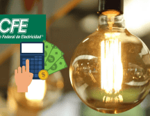 Estas medidas no solo representan un ahorro económico, sino también una contribución significativa al cuidado del medio ambiente. CFE