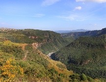 Jalisco tiene joyas gastronómicas que merecen atención, especialmente cuando se trata de líquidos para acompañar los alimentos o quitar el calor. EL INFORMADOR / ARCHIVO