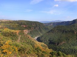 Jalisco tiene joyas gastronómicas que merecen atención, especialmente cuando se trata de líquidos para acompañar los alimentos o quitar el calor. EL INFORMADOR / ARCHIVO