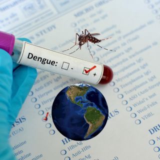 Dengue registra récord de casos y muertes en 2024 en América Latina