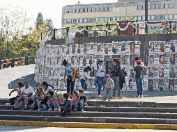 Gabriela Cárdenas, explicó que la agenda en materia de personas desaparecidas sería una de las principales ganadoras con las reasignaciones. EL INFORMADOR/ARCHIVO