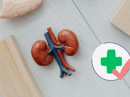 Los riñones son vitales para nuestro cuerpo, conoce las recomendaciones para mantener su bien funcionamiento.ESPECIAL/Pexels y Canva