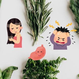 Esta es la planta milagrosa que mejora la digestión, favorece el crecimiento del cabello y alivia el estrés