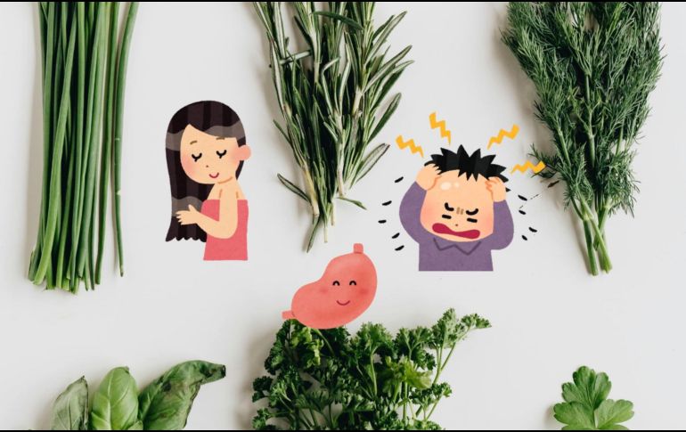 La medicina tradicional emplea una vasta cantidad de plantas medicinales para tratar diversas enfermedades. ESPECIAL/Pexels y Canva