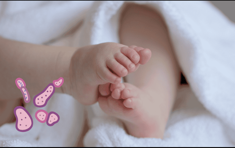 La SSG indicó que en Guanajuato sigue la alerta y vigilancia en las unidades médicas, ante los hechos ocurridos en el Estado de México con relación a la alerta epidemiológica por la infección de Klebsiella oxytoca. ESPECIAL/ Pixabay.